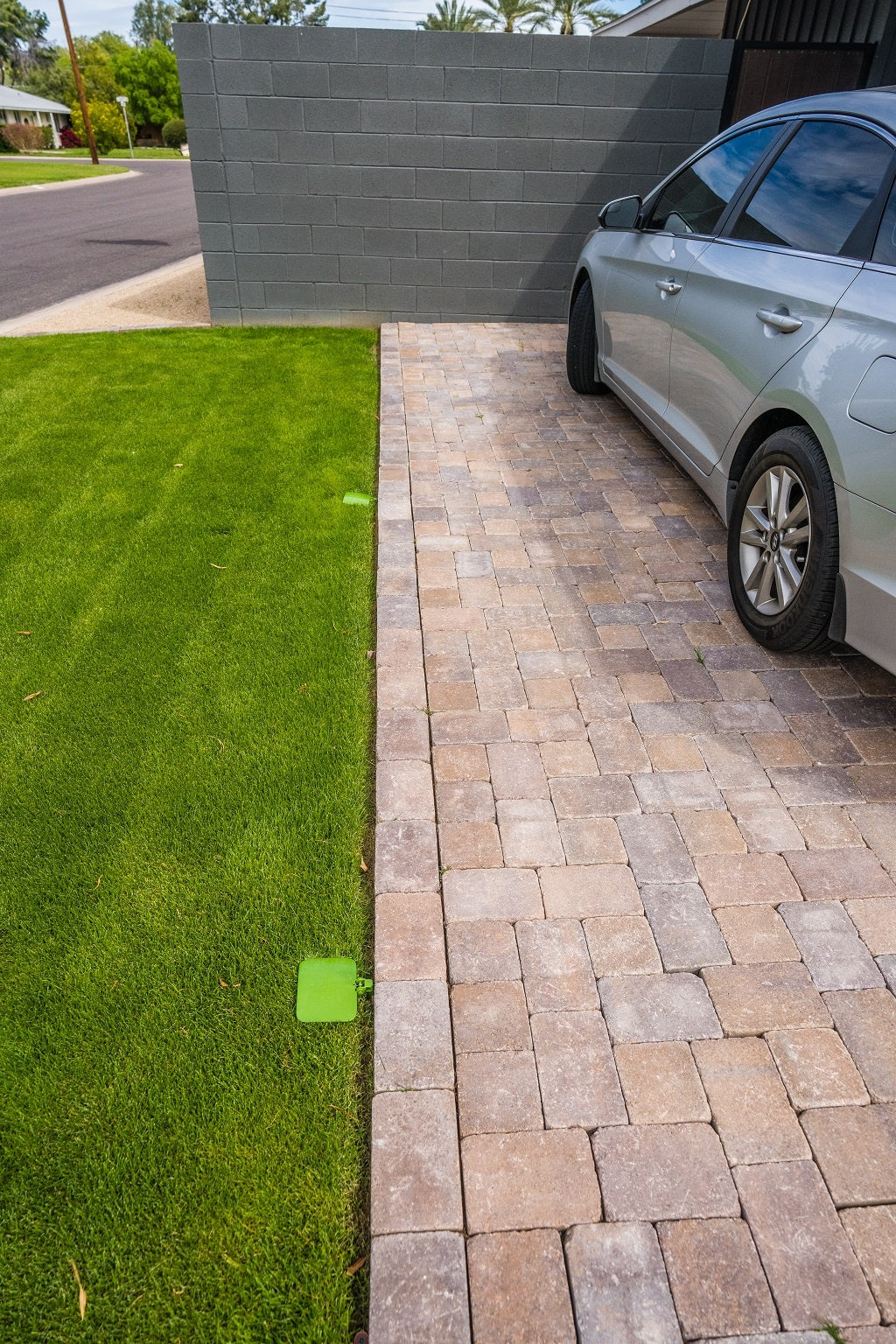 Aqua Directors Starter Pack (2 straight)